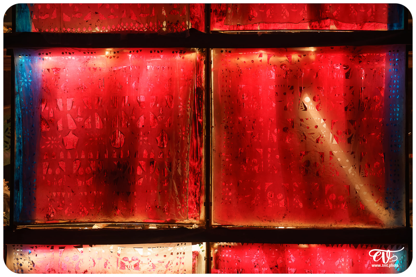 TMTPHOTO LA TORTUE DE GAUGUIN 010